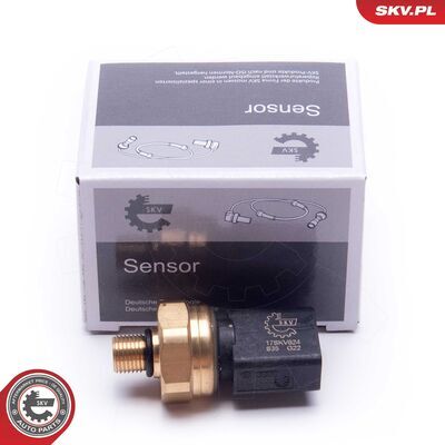 17SKV624
