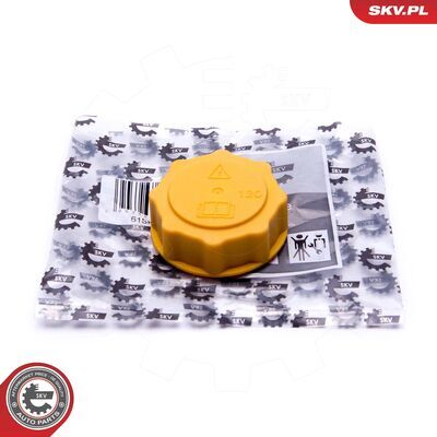 61SKV007