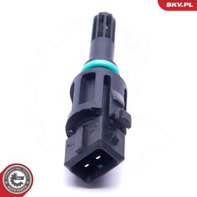 17SKV689