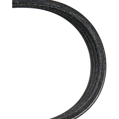305P0167