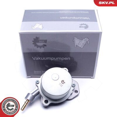 18SKV061