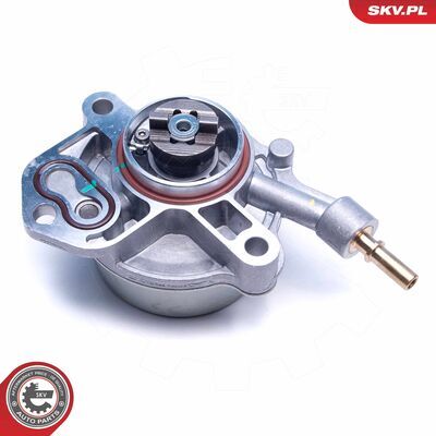 18SKV061