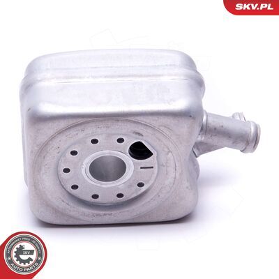 31SKV203
