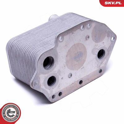 31SKV221