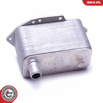 31SKV221