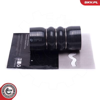 54SKV213