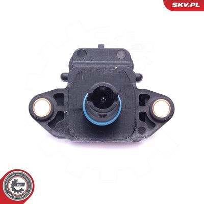 17SKV148