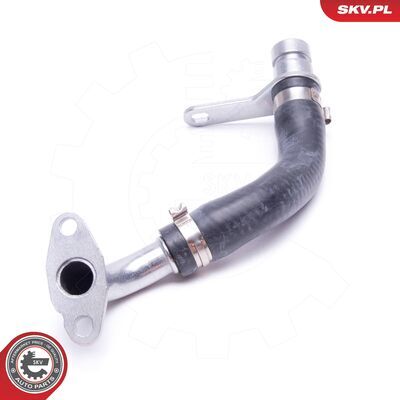 31SKV198