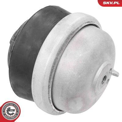 75SKV003