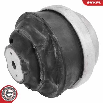 75SKV003