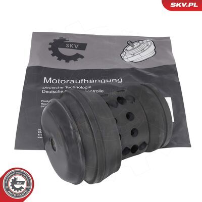 75SKV238
