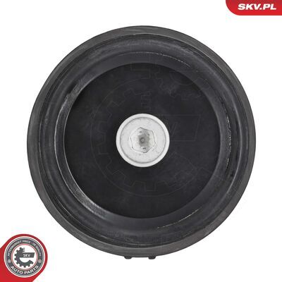 75SKV238