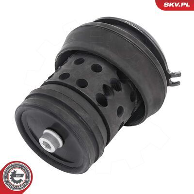 75SKV238