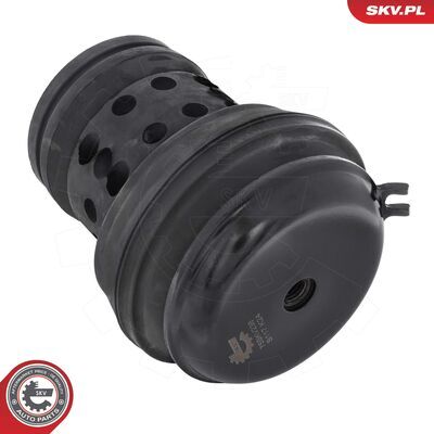 75SKV238
