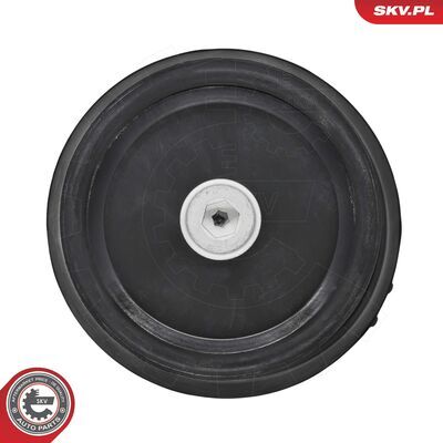 75SKV240