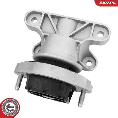 75SKV824