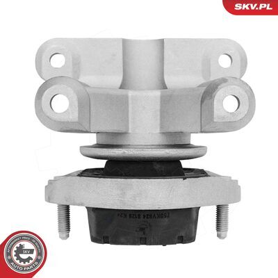 75SKV824
