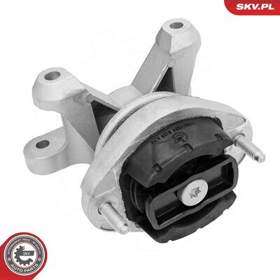 75SKV824