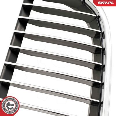 66SKV088