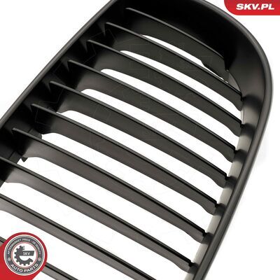 66SKV008