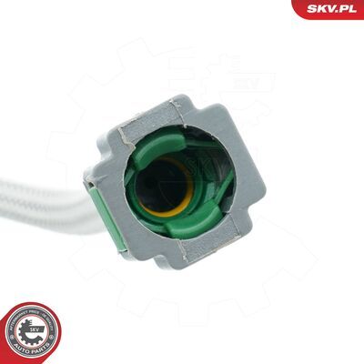 54SKV306