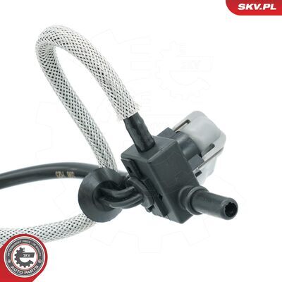 54SKV288