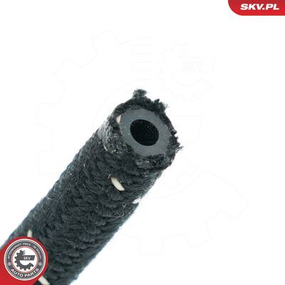 54SKV293