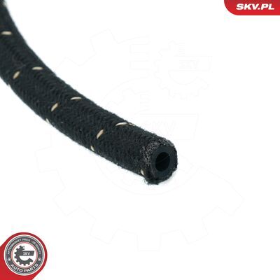 54SKV379