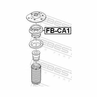 FB-CA1