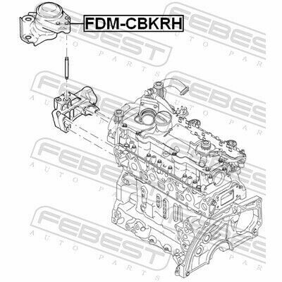 FDM-CBKRH