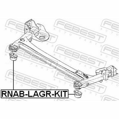 RNAB-LAGR-KIT