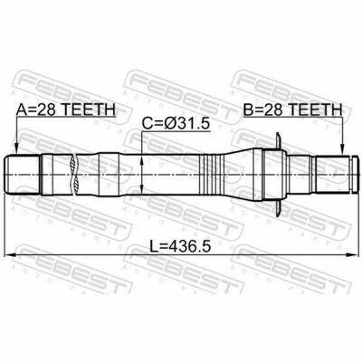 1212-CM10MT4WD