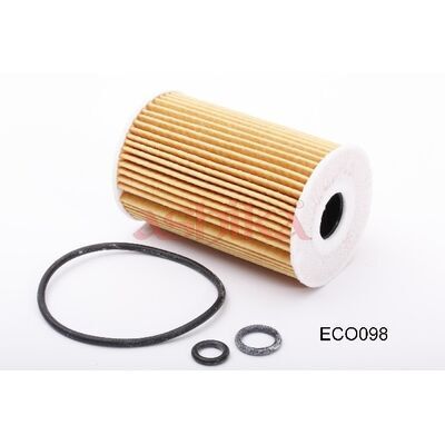 10-ECO098