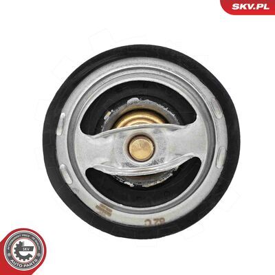 20SKV244