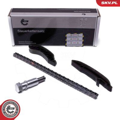 21SKV249
