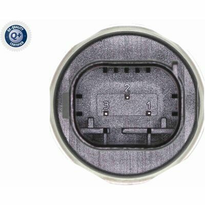 Q+,  Première Monte