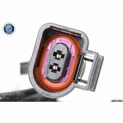 Q+,  Première Monte