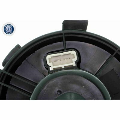 Q+ qualità di primo fornitore