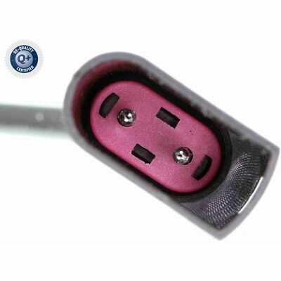 Q+,  Première Monte