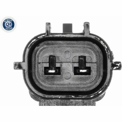 Q+ qualità di primo fornitore