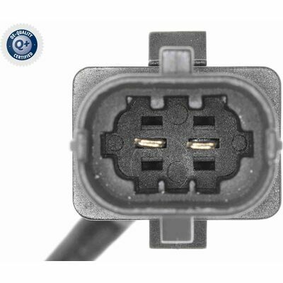 Q+,  Première Monte