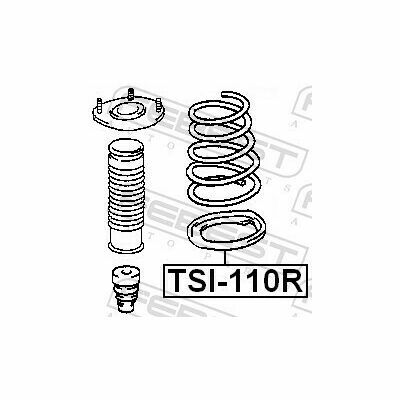 TSI-110R