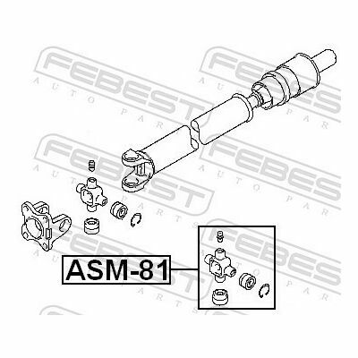 ASM-81