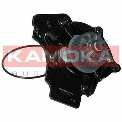T0031