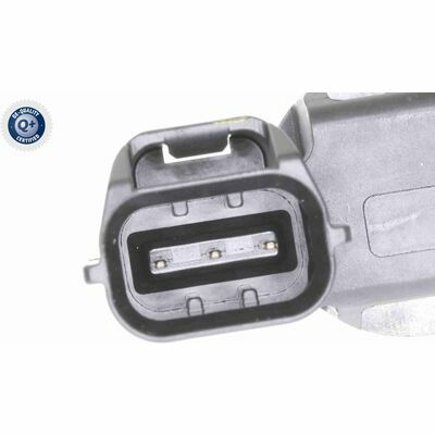 Q+,  Première Monte