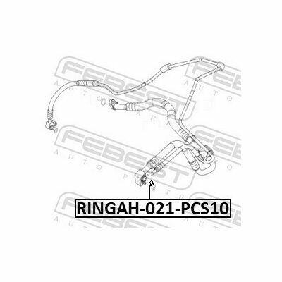 RINGAH-021-PCS10