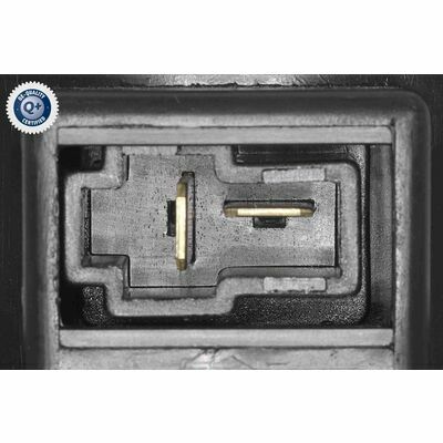 Q+,  Première Monte