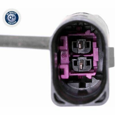 Q+, calidad de primer equipo