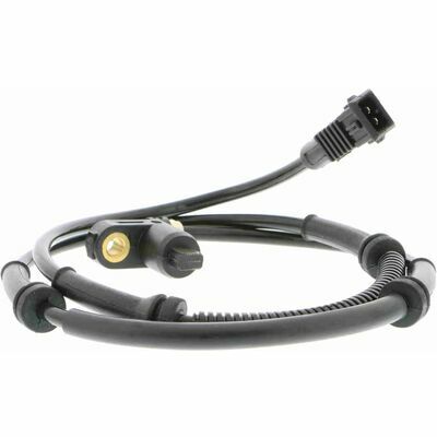 Q+,  Première Monte