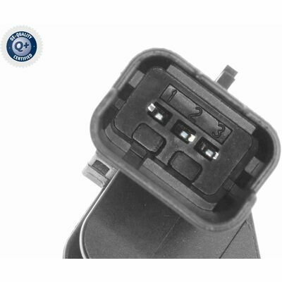 Q+,  Première Monte